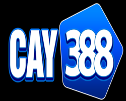 Ô tô & Xe Máy & Xe Đạp 